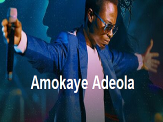 Amokaye Adeola
