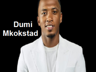 Dumi Mkokstad