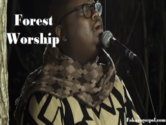 Forest Worship