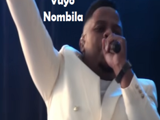 Vuyo Nombila