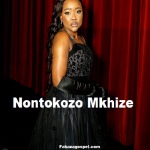 Nontokozo Mkhize - Walenga Nontokozo Mkhize
