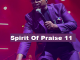 Spirit Of Praise 11 picture