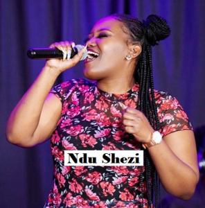 Ndu Shezi