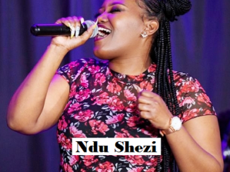 Ndu Shezi