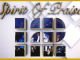Spirit of Praise 12