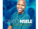 Qiniso Nsele